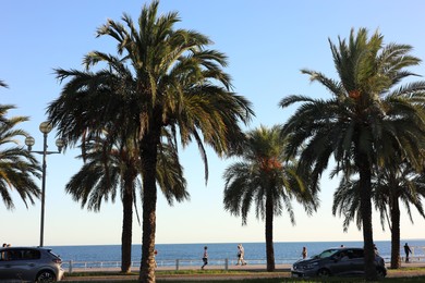 Photo of Nice, France - August 30, 2025: Beautiful green palm trees and people near sea