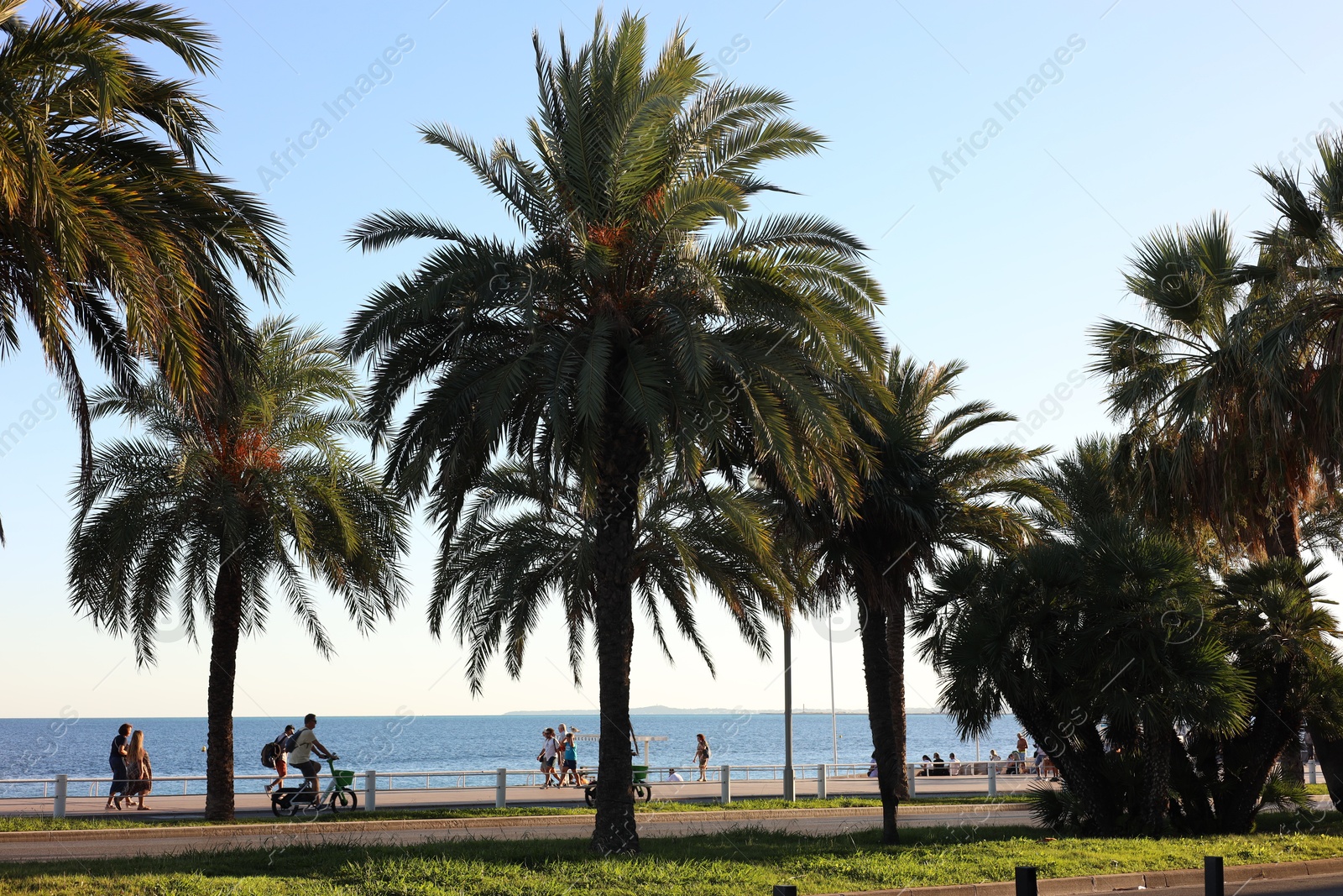 Photo of Nice, France - August 30, 2025: Beautiful green palm trees and people near sea