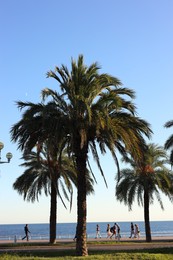 Photo of Nice, France - August 30, 2025: Beautiful green palm trees and people near sea