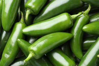Photo of Fresh green jalapeno peppers as background, top view