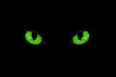 Image of Bright green cat eyes visible in darkness. Halloween vibe
