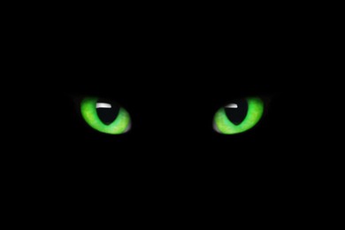 Image of Bright green cat eyes visible in darkness. Halloween vibe