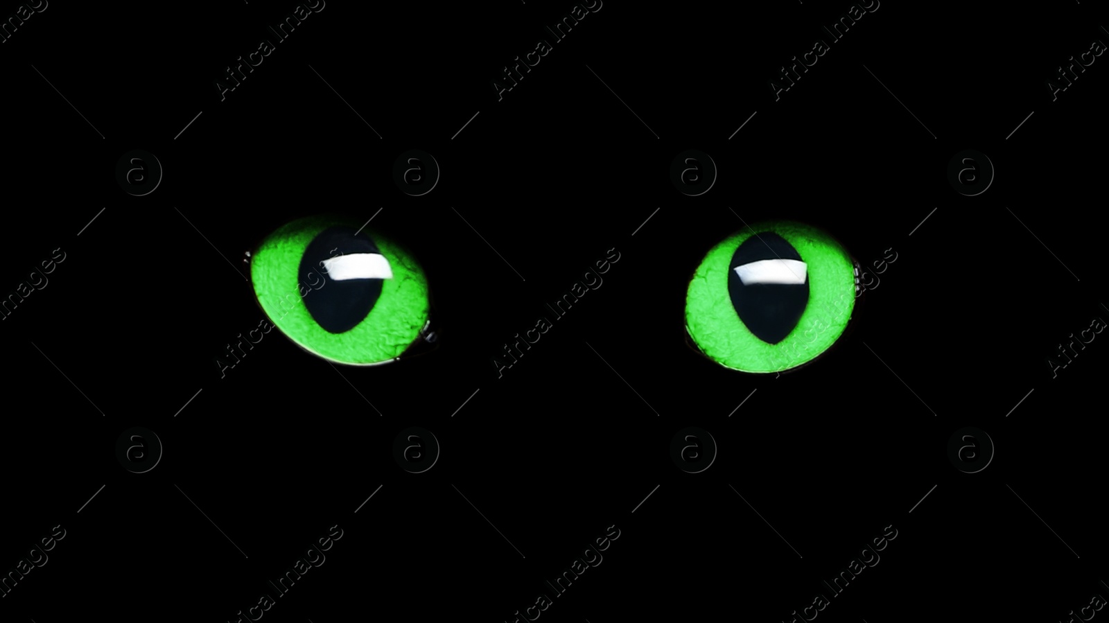 Image of Bright green cat eyes visible in darkness. Halloween vibe