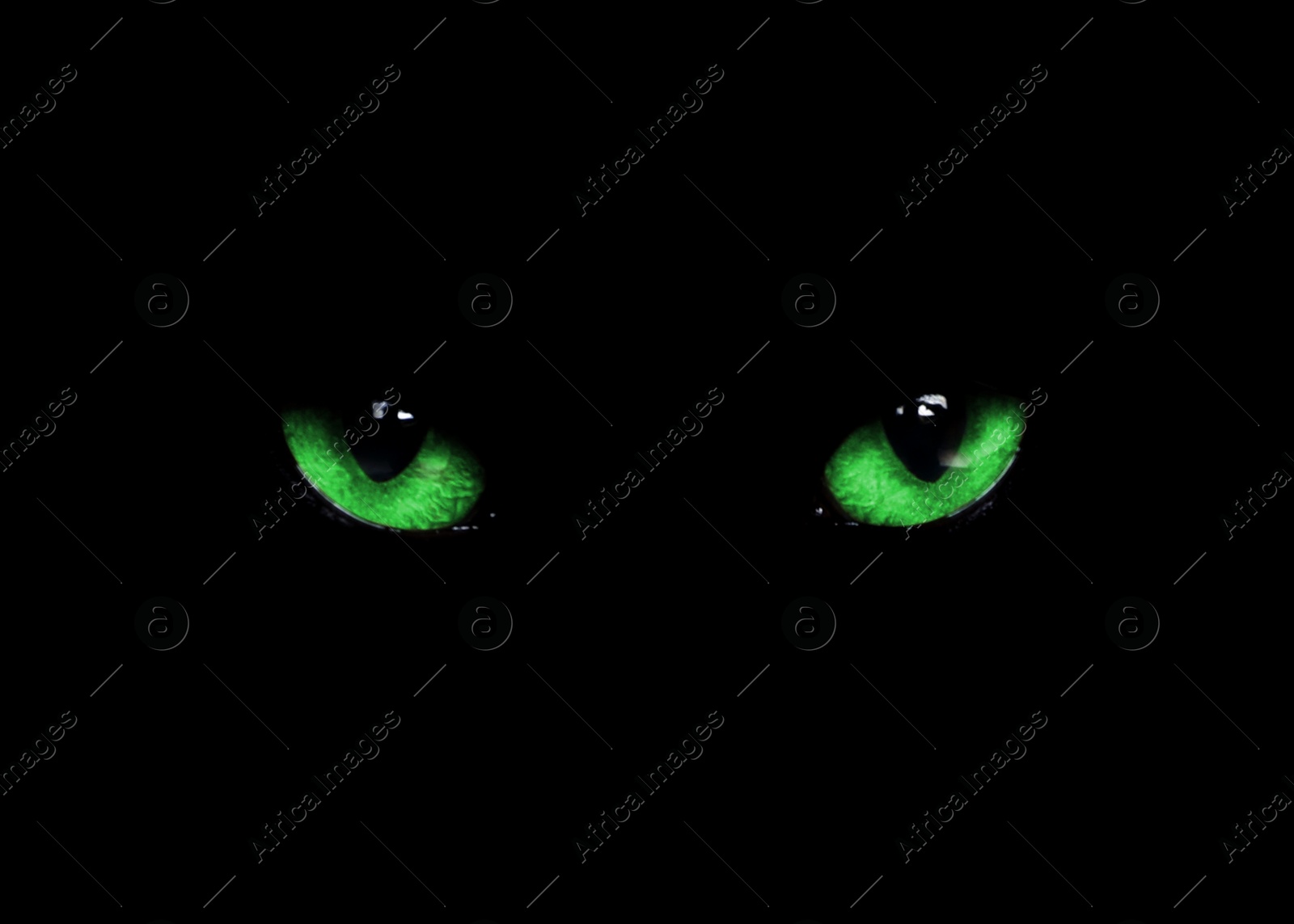 Image of Bright green cat eyes visible in darkness. Halloween vibe