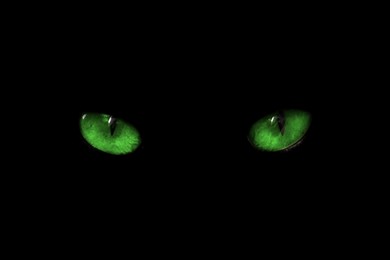 Image of Bright green cat eyes visible in darkness. Halloween vibe