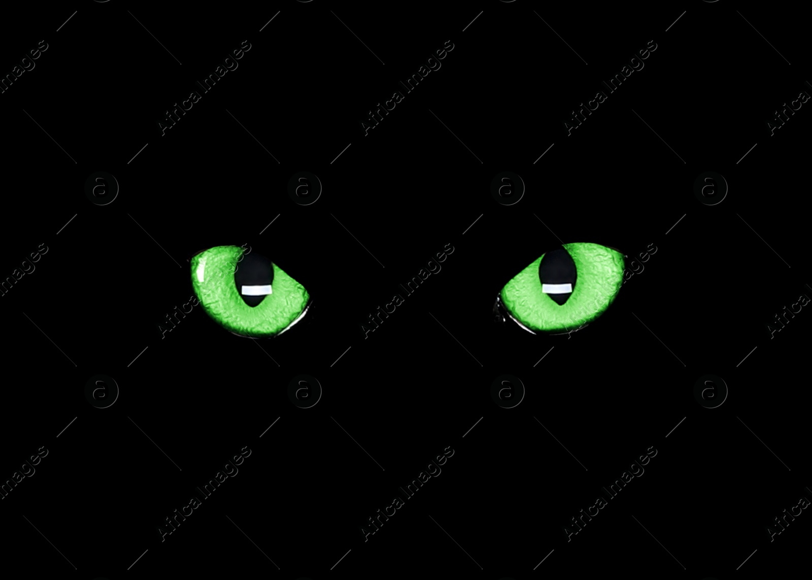 Image of Bright green cat eyes visible in darkness. Halloween vibe