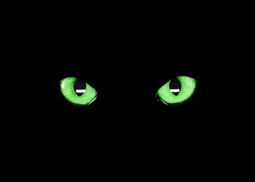 Image of Bright green cat eyes visible in darkness. Halloween vibe