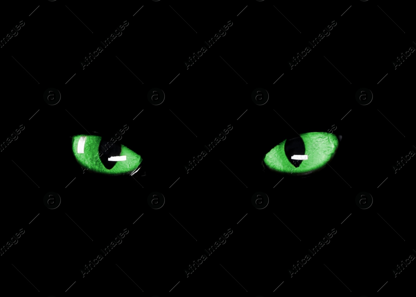 Image of Bright green cat eyes visible in darkness. Halloween vibe