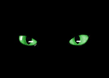 Image of Bright green cat eyes visible in darkness. Halloween vibe