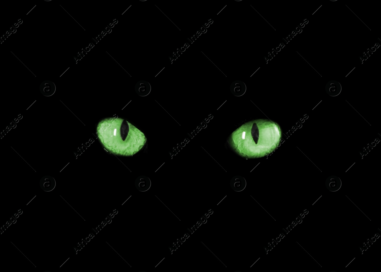 Image of Bright green cat eyes visible in darkness. Halloween vibe