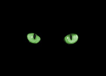 Image of Bright green cat eyes visible in darkness. Halloween vibe
