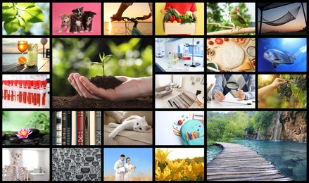 Image of Set of different pictures combined into collage. Banner design
