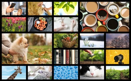 Image of Set of different pictures combined into collage. Banner design