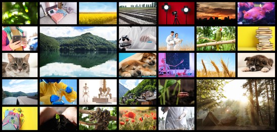 Image of Set of different pictures combined into collage. Banner design