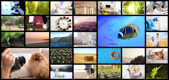 Image of Set of different pictures combined into collage. Banner design
