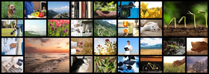 Image of Set of different pictures combined into collage. Banner design