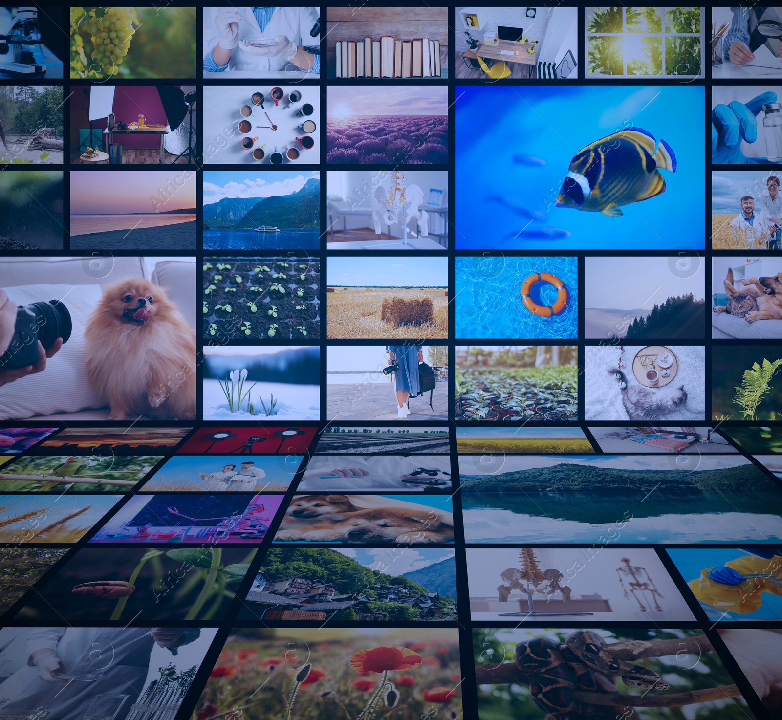 Image of Media library. Collection of video files in virtual space