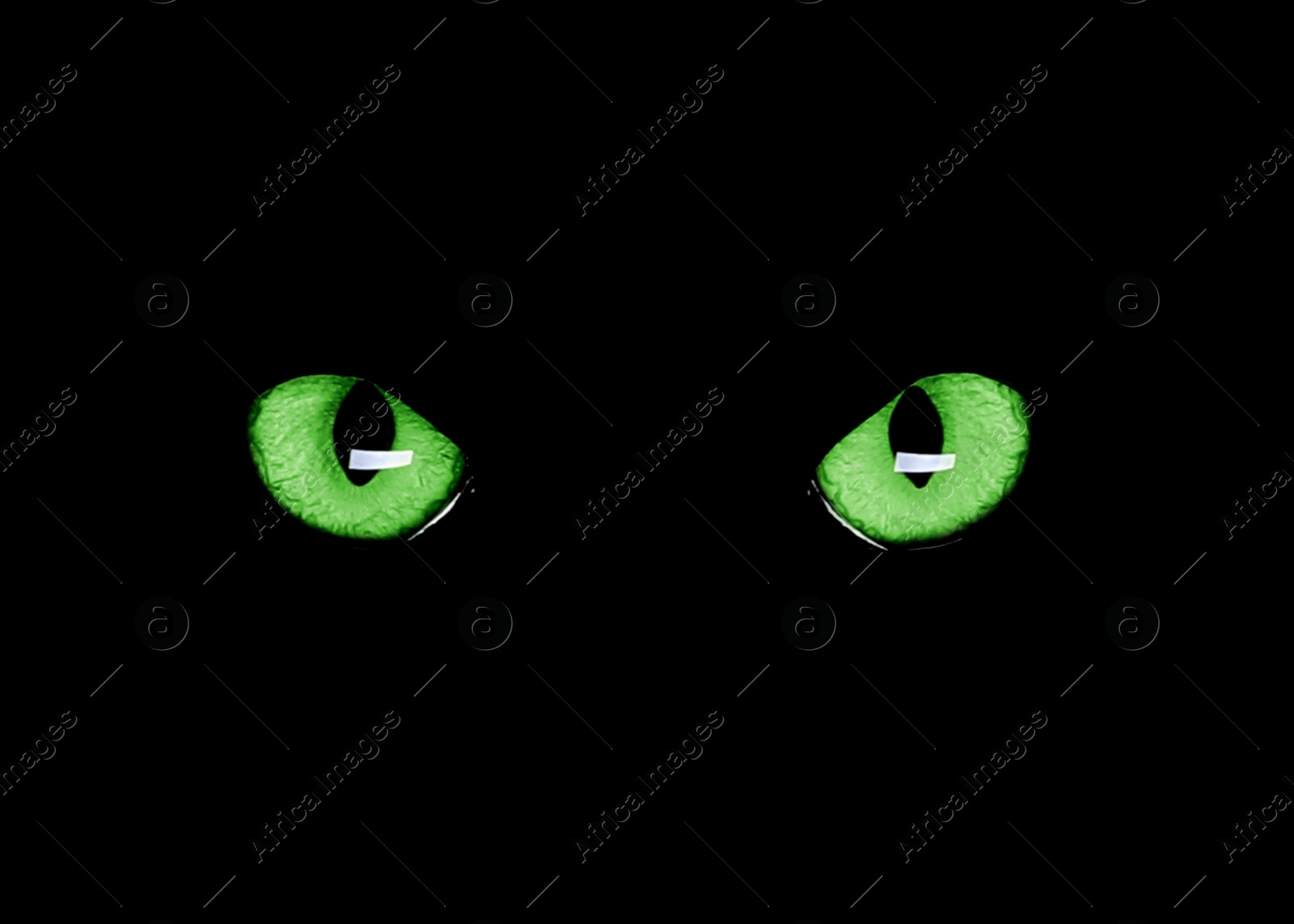 Image of Bright green cat eyes visible in darkness. Halloween vibe