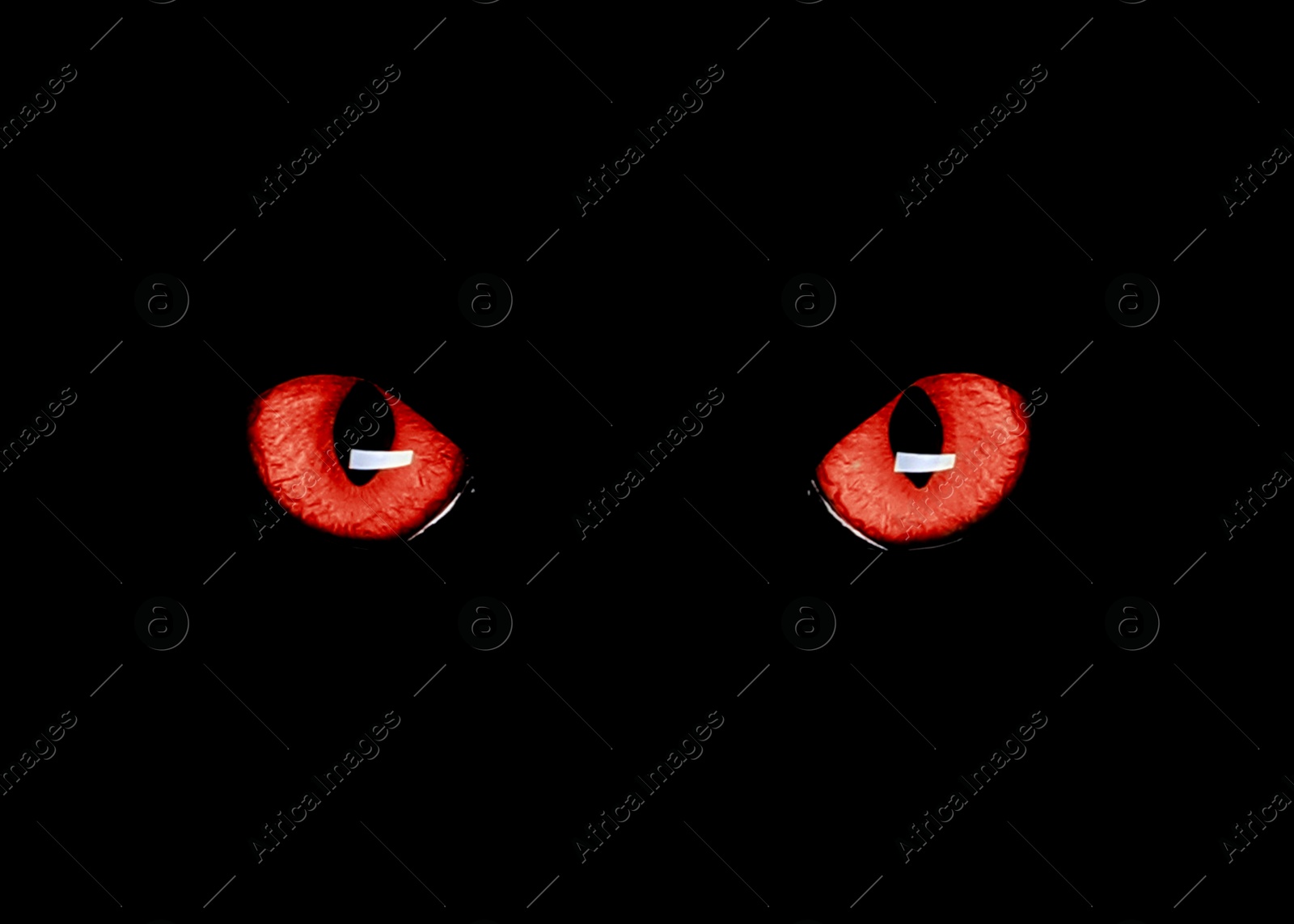 Image of Bright red cat eyes visible in darkness. Halloween vibe