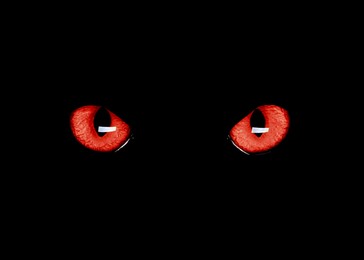 Image of Bright red cat eyes visible in darkness. Halloween vibe