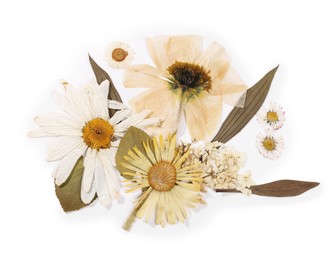 Photo of Beautiful dry flowers isolated on white, top view