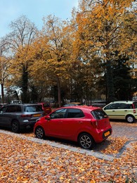 Photo of View of street with parked cars and dry fallen leaves on autumn day