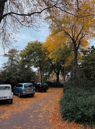 Photo of Parked cars and fallen leaves in residential area on autumn day