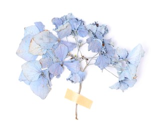 Photo of Beautiful dry hydrangea flowers with adhesive tape isolated on white, top view