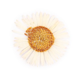 Photo of Beautiful dry chamomile flower isolated on white, top view