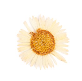 Photo of Beautiful dry chamomile flower isolated on white, top view