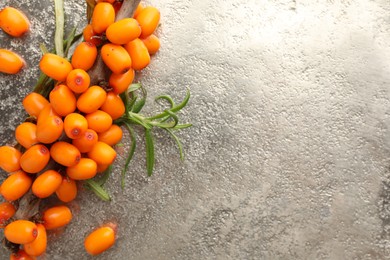 Photo of Fresh sea buckthorn berries and leaves on grey table, top view. Space for text