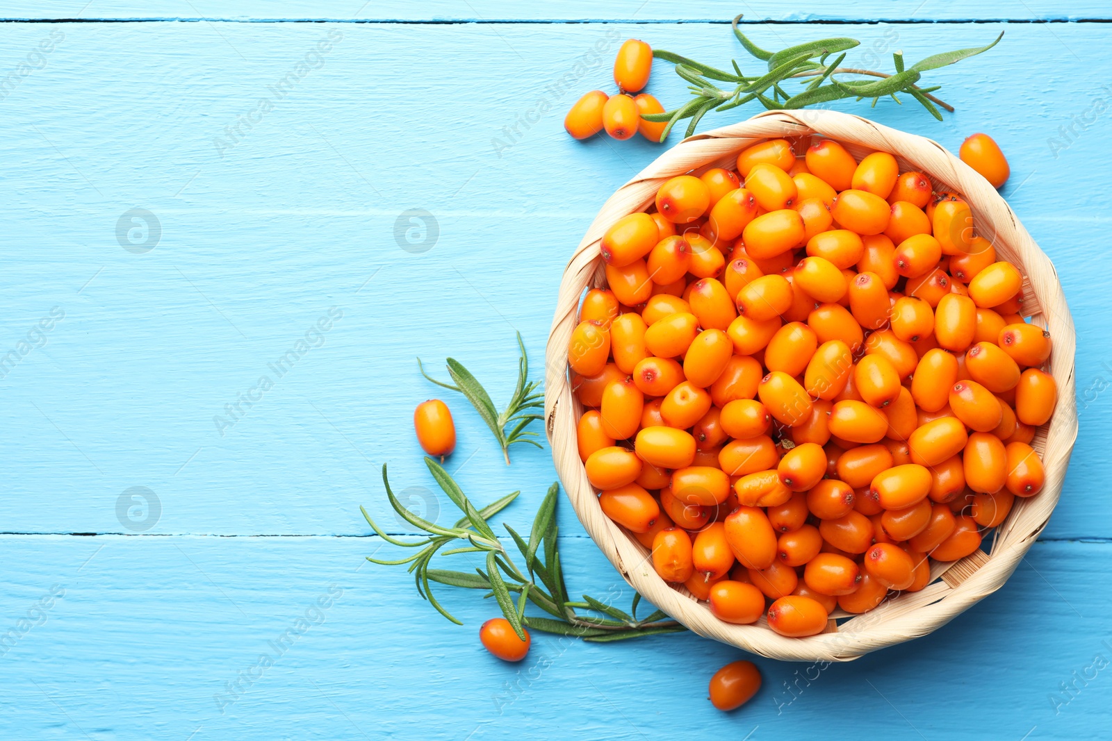 Photo of Fresh sea buckthorn berries in wicker bowl and leaves on light blue wooden table, flat lay. Space for text
