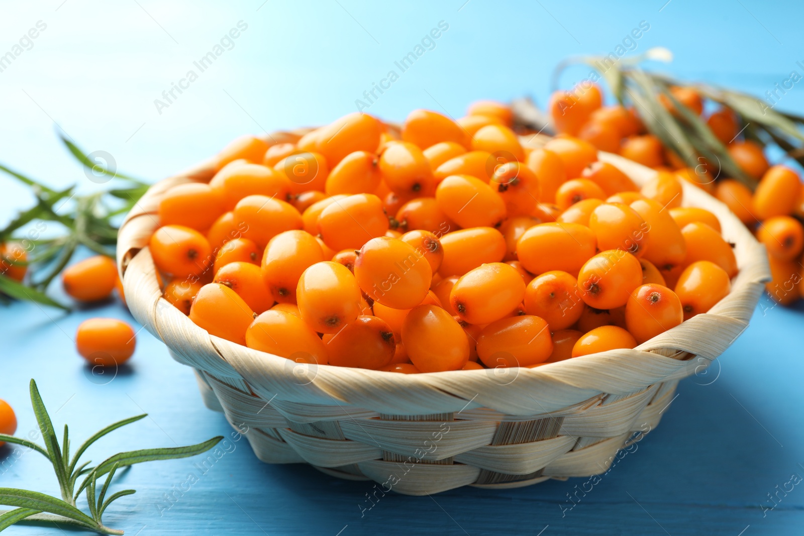 Photo of Fresh sea buckthorn berries in wicker bowl and leaves on light blue wooden table, closeup