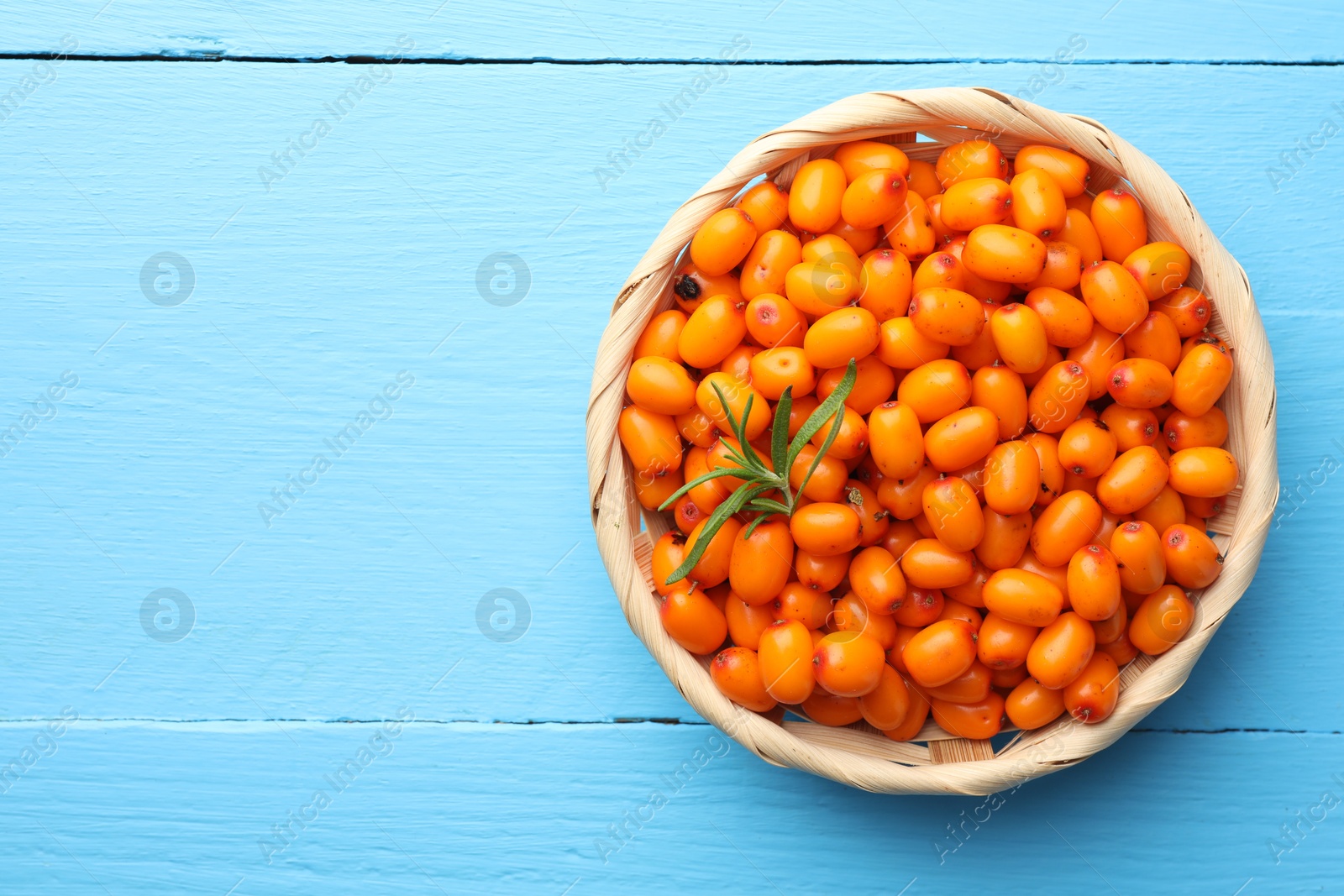 Photo of Fresh sea buckthorn berries in wicker bowl and leaves on light blue wooden table, top view. Space for text