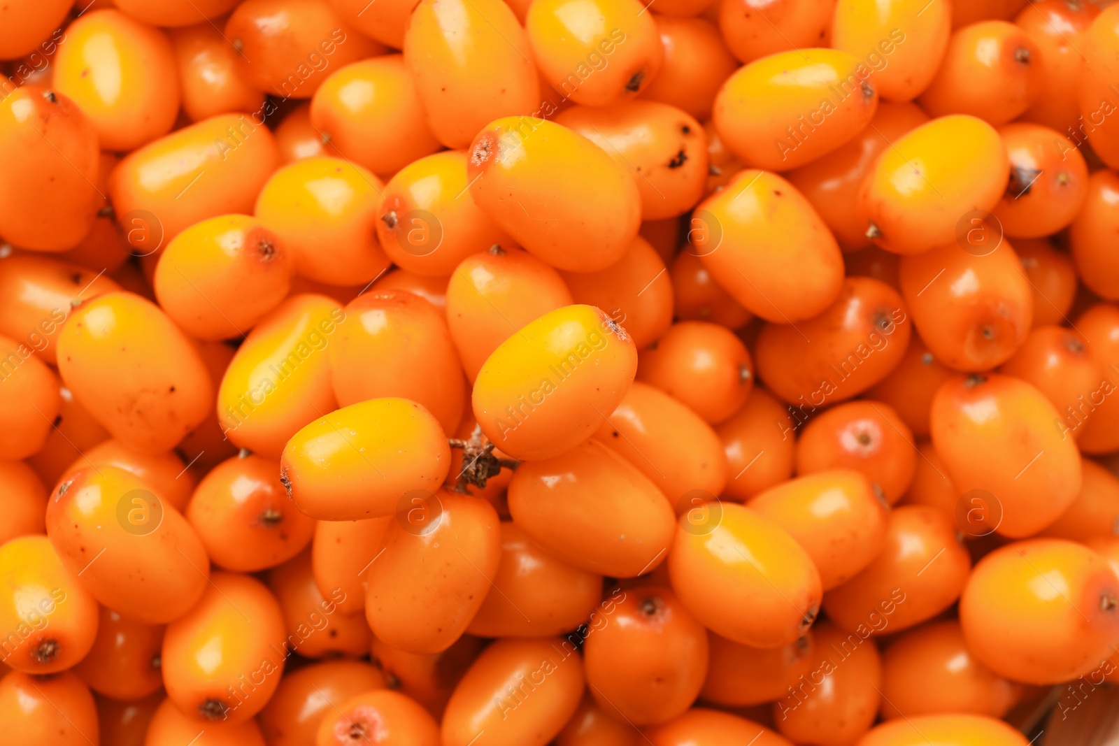 Photo of Fresh sea buckthorn berries as background, top view
