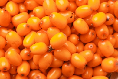 Photo of Fresh sea buckthorn berries as background, top view
