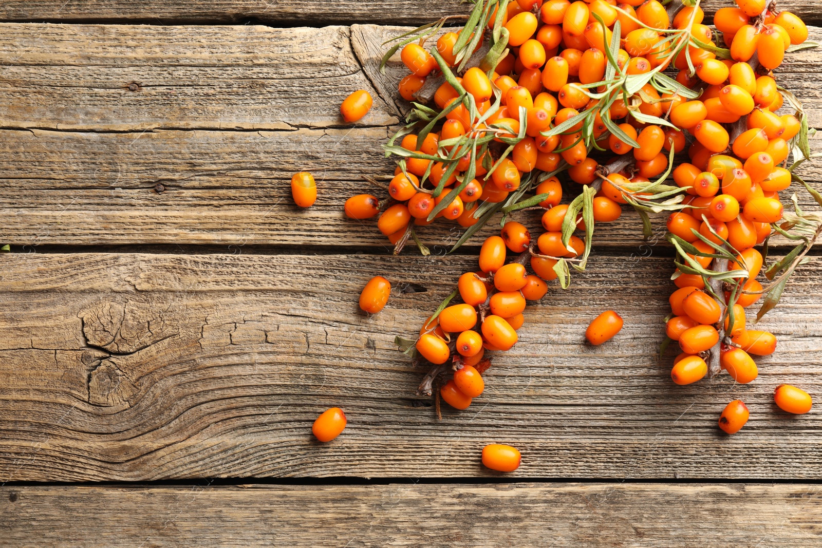 Photo of Fresh sea buckthorn berries with leaves on wooden table, flat lay. Space for text