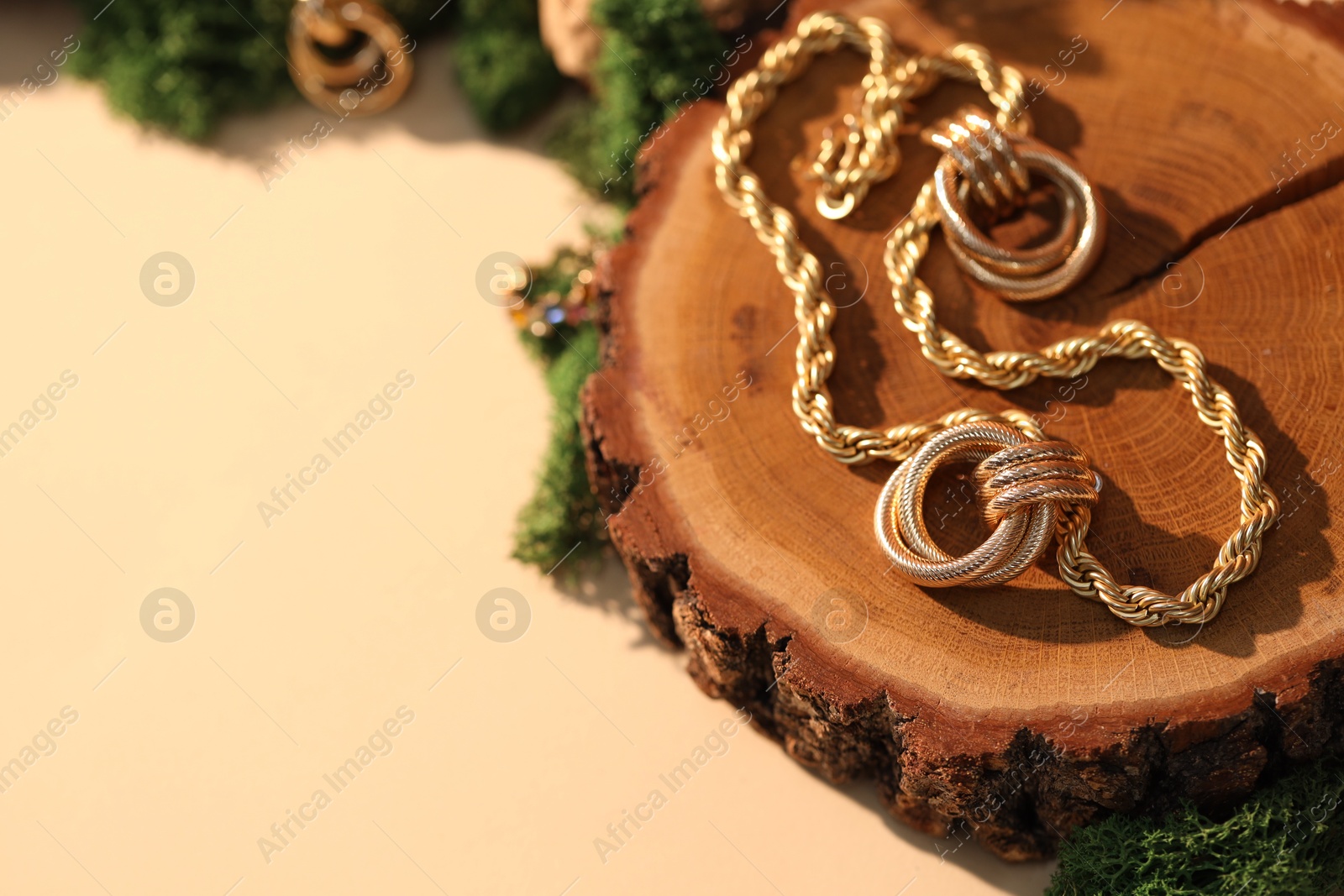 Photo of Beautiful gold jewelry and wood with moss on beige background, closeup. Space for text