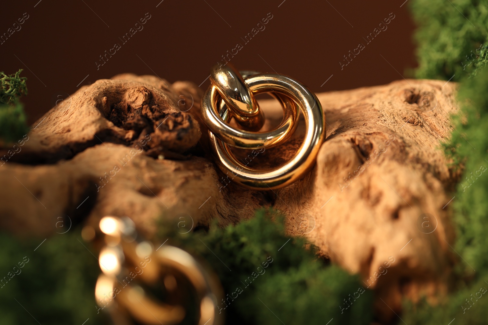 Photo of Beautiful gold jewelry on wood with moss against brown background, closeup