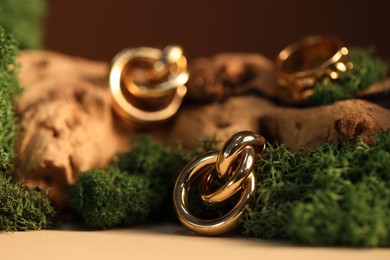 Photo of Beautiful gold jewelry on wood with moss against brown background, closeup