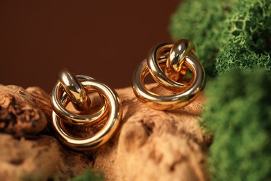 Photo of Beautiful gold jewelry on wood with moss against brown background, closeup