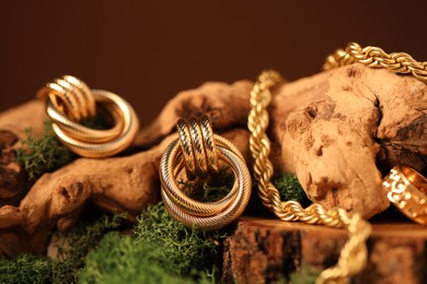Photo of Beautiful gold jewelry on wood with moss against brown background, closeup