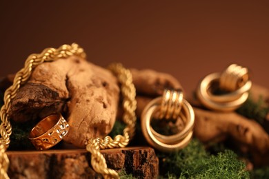 Photo of Beautiful gold jewelry on wood with moss against brown background, closeup. Space for text