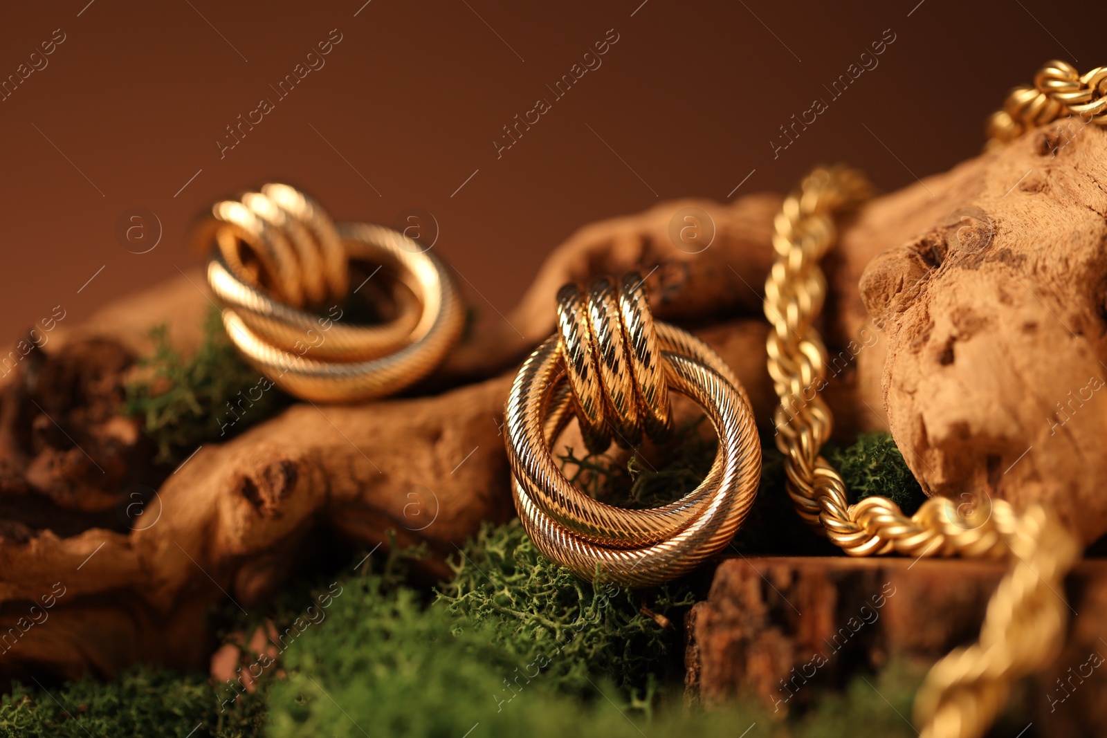 Photo of Beautiful gold jewelry on wood with moss against brown background, closeup
