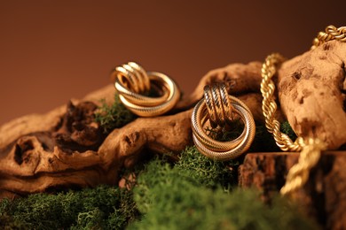 Photo of Beautiful gold jewelry on wood with moss against brown background, closeup