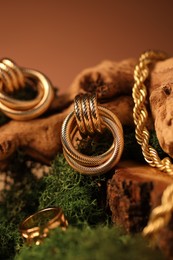 Photo of Beautiful gold jewelry on wood with moss against brown background, closeup