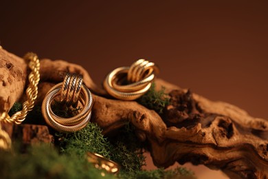 Photo of Beautiful gold jewelry on wood with moss against brown background, closeup. Space for text
