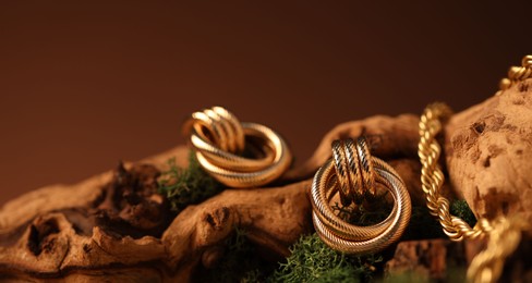 Photo of Beautiful gold jewelry on wood with moss against brown background, closeup. Space for text