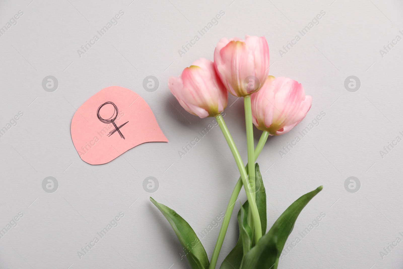 Photo of Menopause. Female gender symbol and tulips on light grey background, flat lay