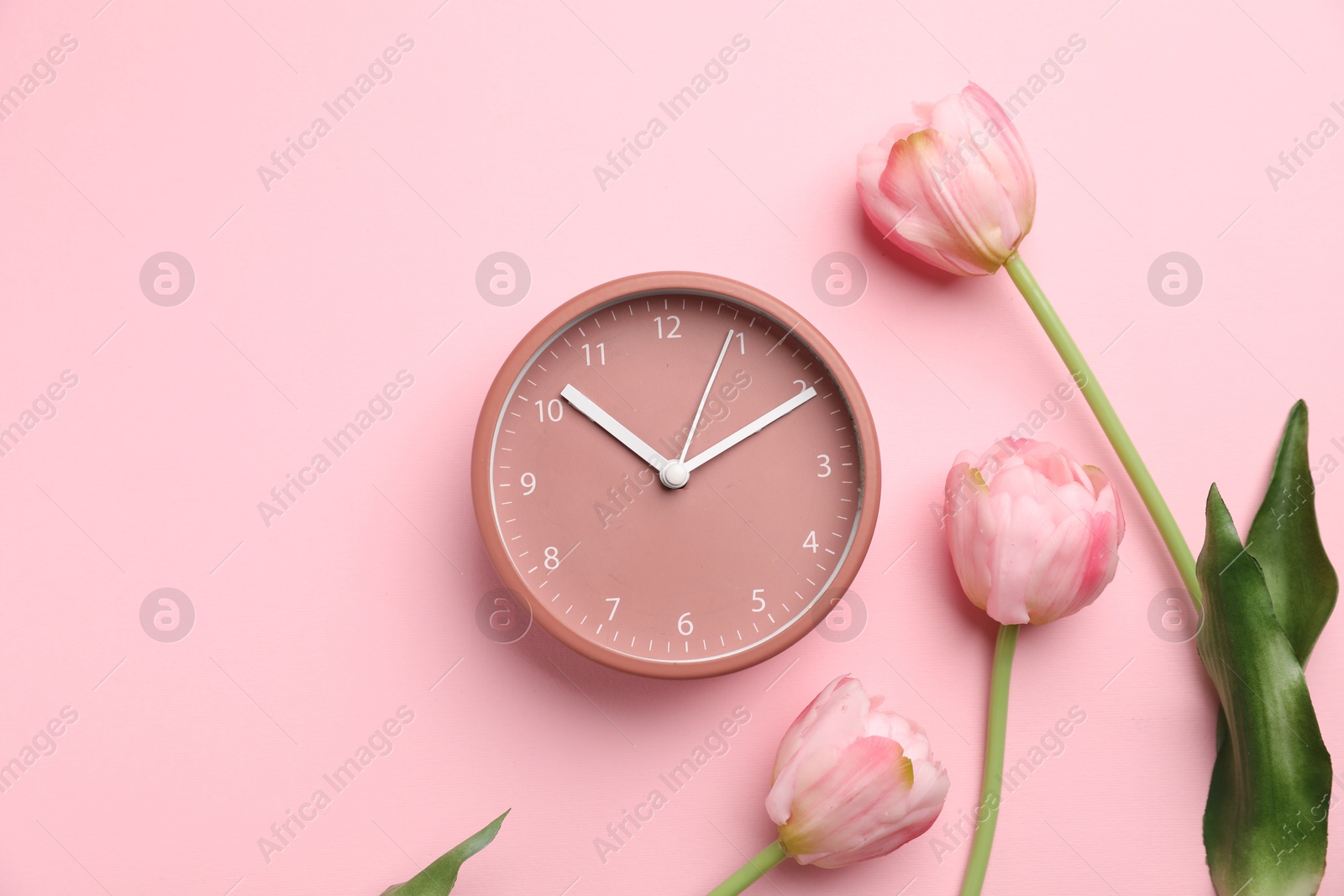 Photo of Menopause. Alarm clock and tulips on pink background, flat lay